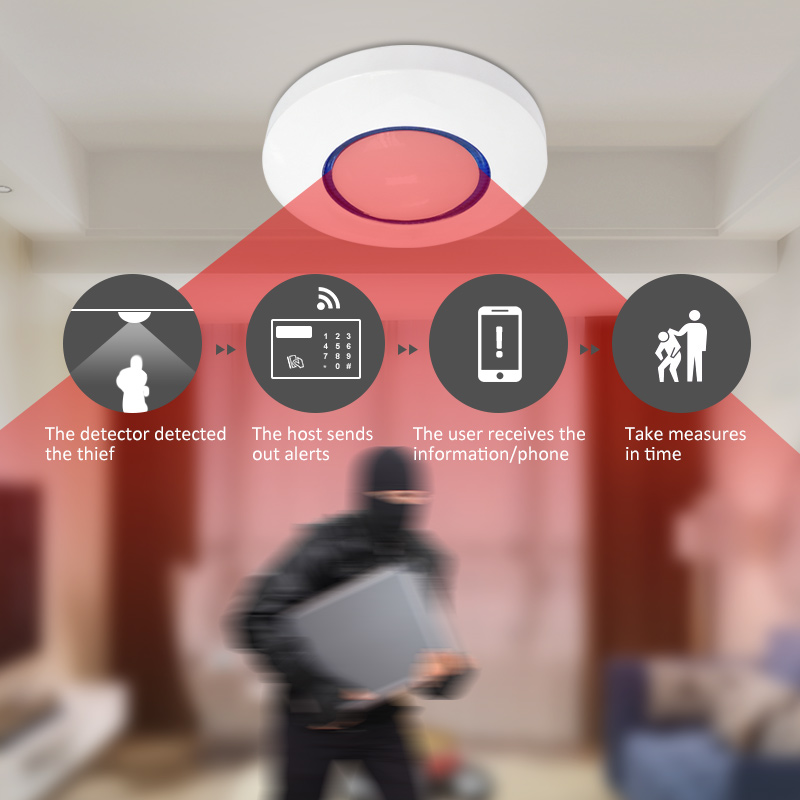 Pet Immune Pir Sensor - Sensore di Movimento PIR Wireless da
