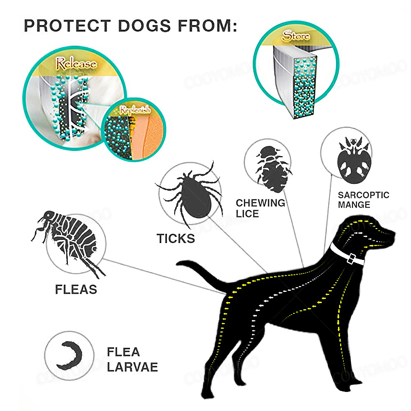 Collari Anti pulci e zecche pe - Pet Immune Pir Sensor recensione e prezzo