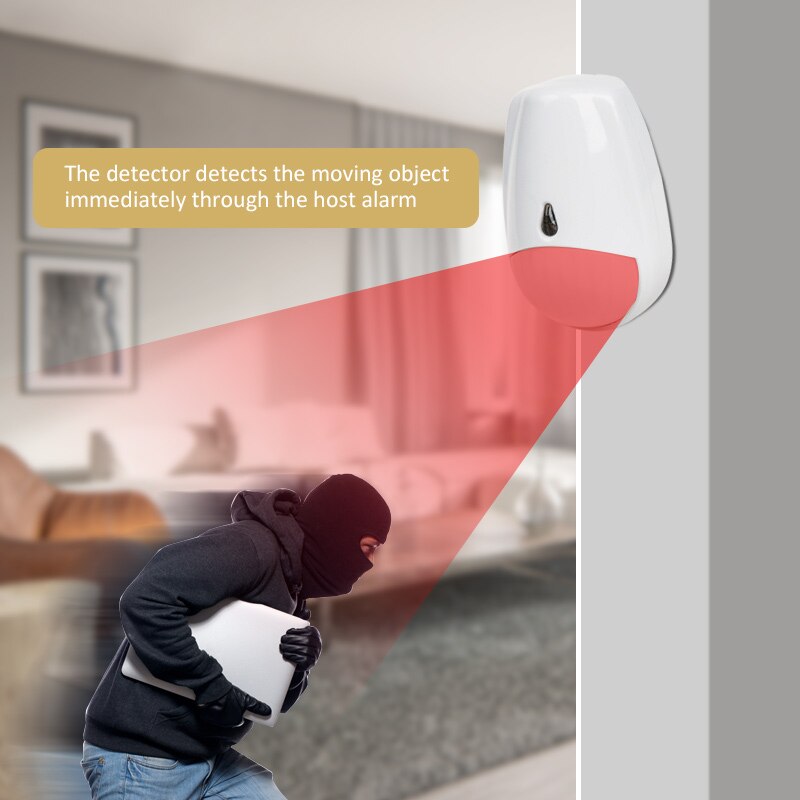 Sensore di Movimento PIR Wirel - Pet Immune Pir Sensor recensione e prezzo