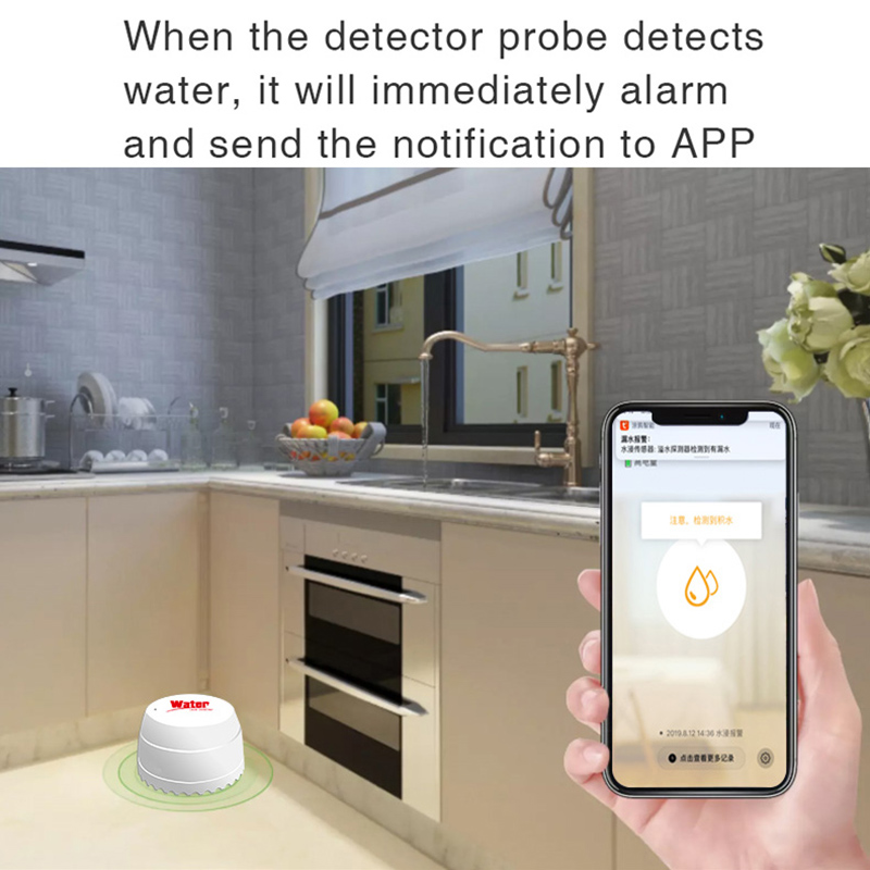Tuya WiFi Sensore di perdite d - Home Security Alarm System recensione e prezzo