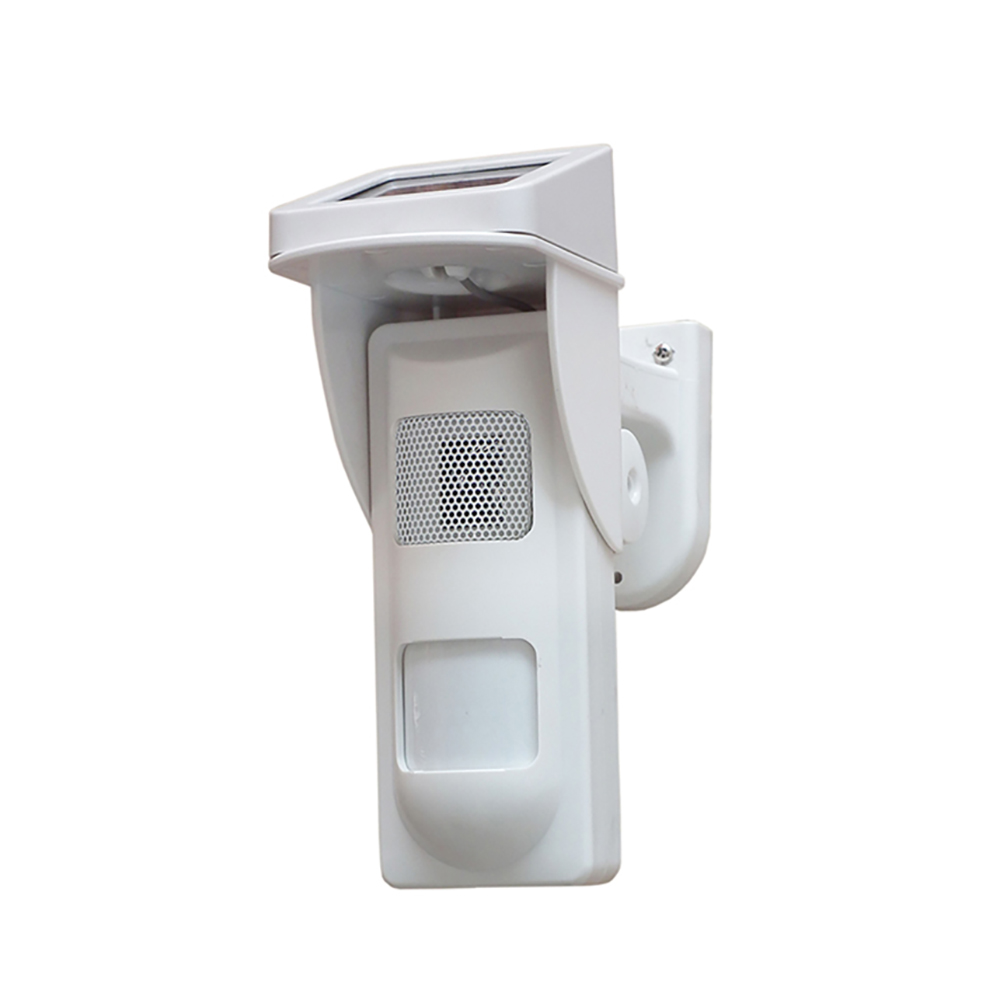 Sensore di movimento solare wi - Pet Immune Pir Sensor recensione e prezzo