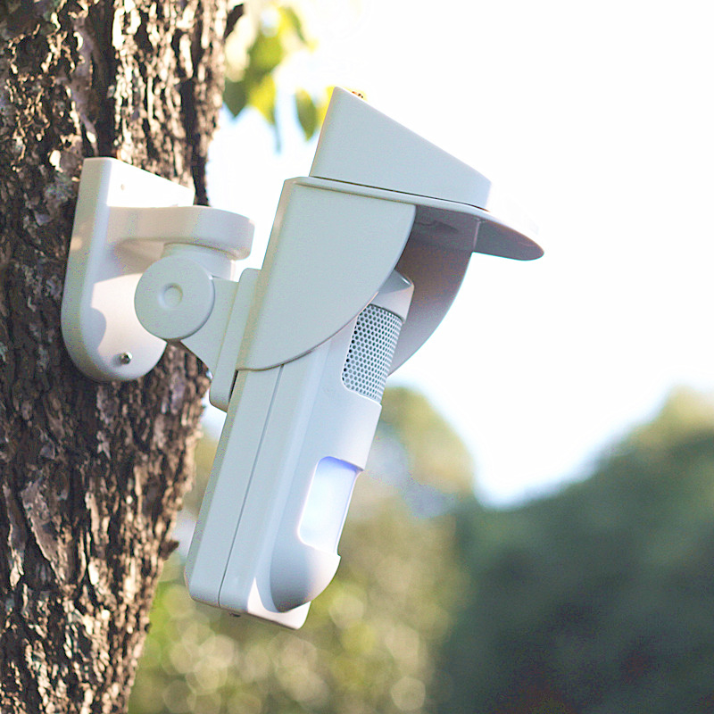 Sensore di movimento solare wi - Pet Immune Pir Sensor recensione e prezzo