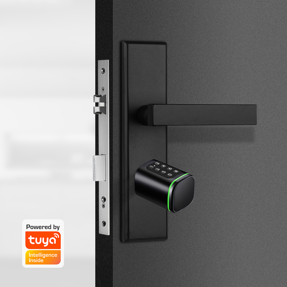 Serratura a cilindro intellige - Home Security Essential recensione e prezzo
